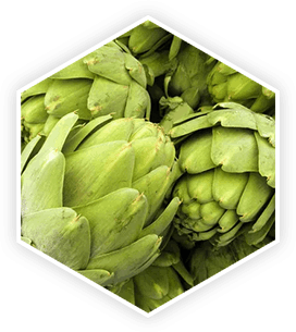 prostavive ingredients – artichoke extract for prostate health support